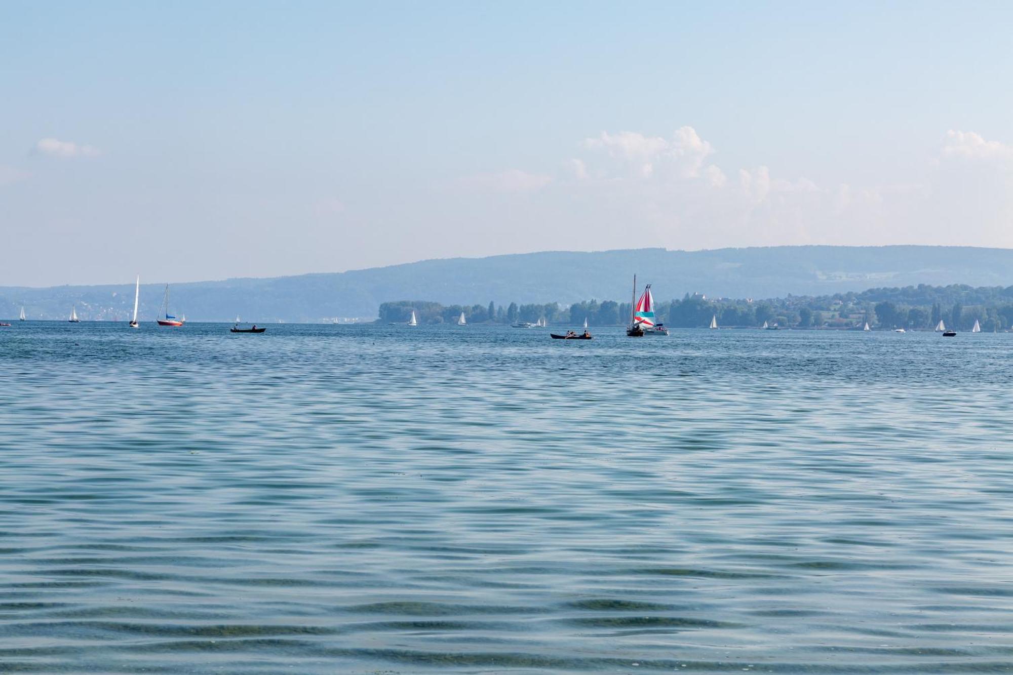 Wiesenblick Radolfzell am Bodensee Eksteriør bilde